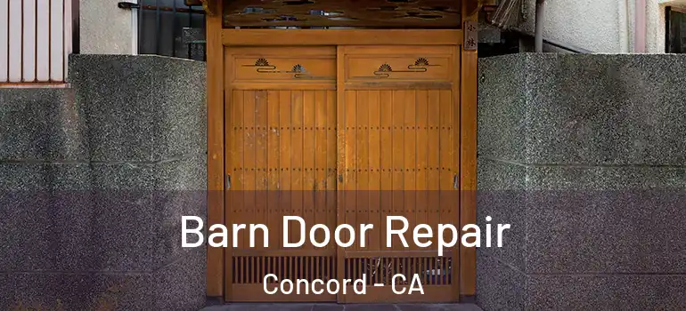  Barn Door Repair Concord - CA