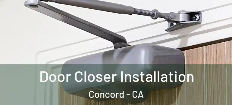  Door Closer Installation Concord - CA