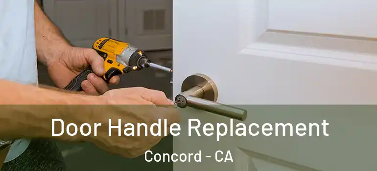  Door Handle Replacement Concord - CA