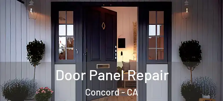  Door Panel Repair Concord - CA