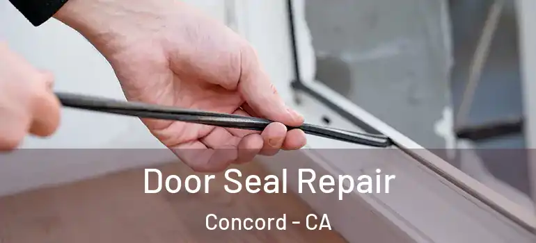  Door Seal Repair Concord - CA