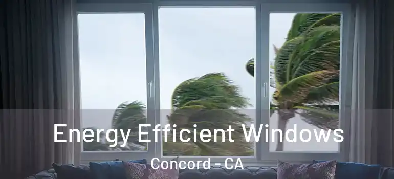 Energy Efficient Windows Concord - CA