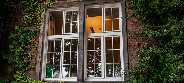 Energy Efficient Wood Windows in Concord, CA