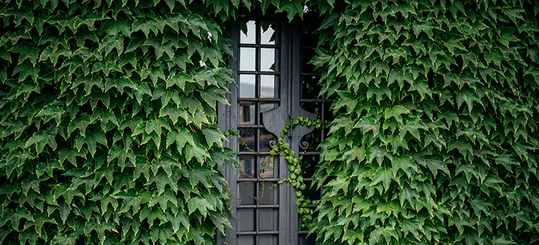 Garden Gate Repair in Concord, CA