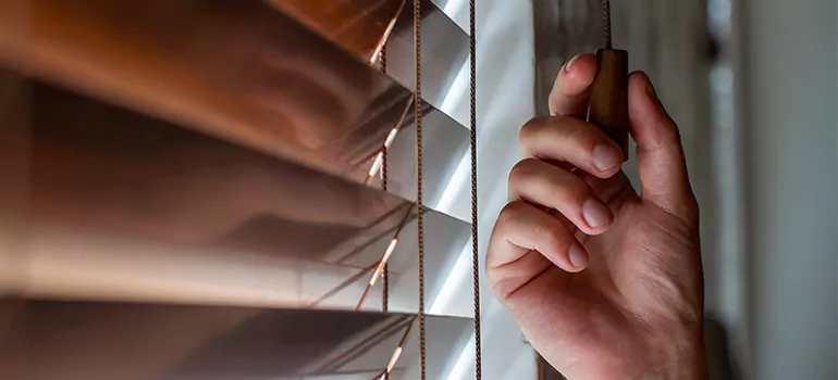 Double Roller Blinds in Concord, CA