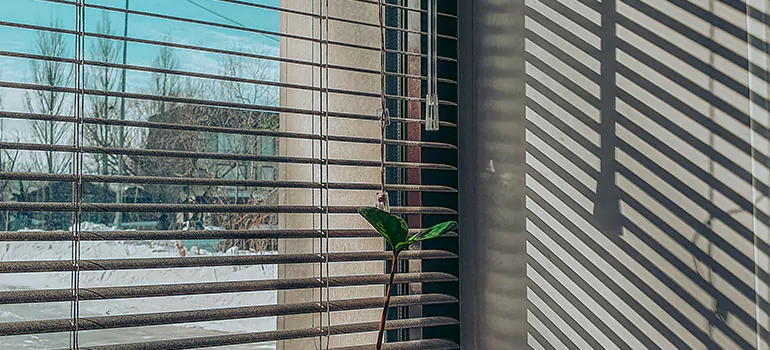 Commercial Window Blinds in Concord, CA