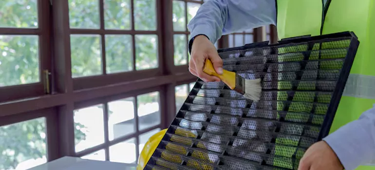 Traditional Window Grille Installation Options in Concord, CA