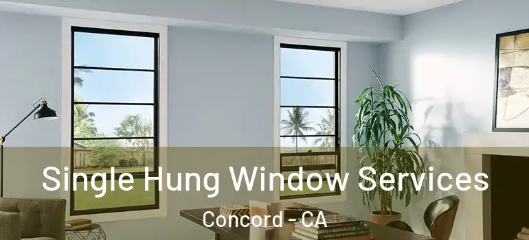  Single Hung Window Services Concord - CA