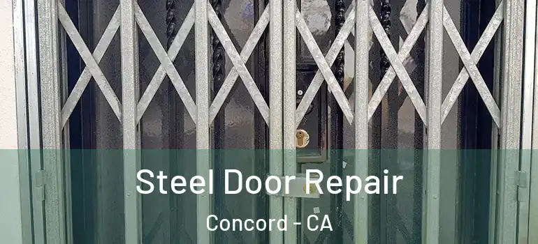  Steel Door Repair Concord - CA
