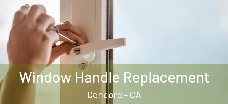  Window Handle Replacement Concord - CA