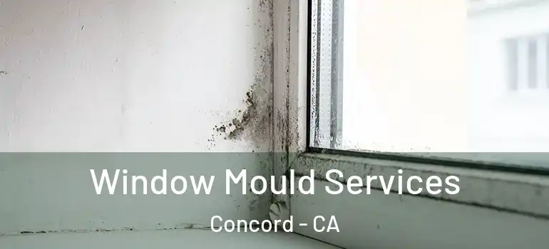  Window Mould Services Concord - CA