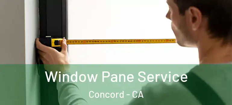  Window Pane Service Concord - CA