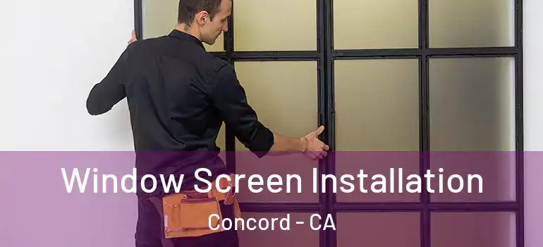  Window Screen Installation Concord - CA