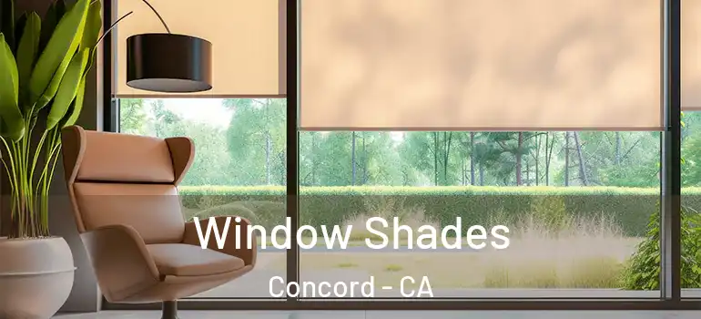  Window Shades Concord - CA