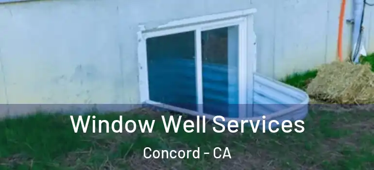  Window Well Services Concord - CA